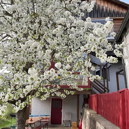 Obertraum Und Appartement *